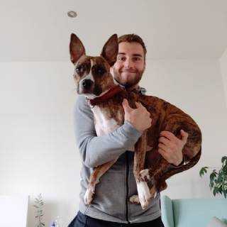 dog Lukáš, Patra a Róza